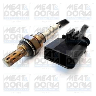 Oxygen Sensor